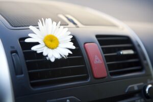 Car AC Sanitizer And Deodorizer