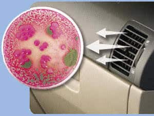 car air conditioner odour bacteria